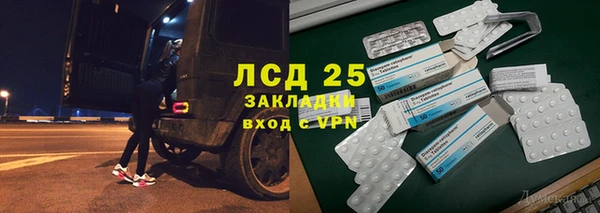индика Володарск