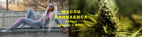 индика Володарск