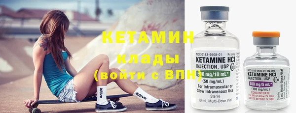 индика Володарск