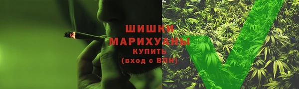 индика Володарск