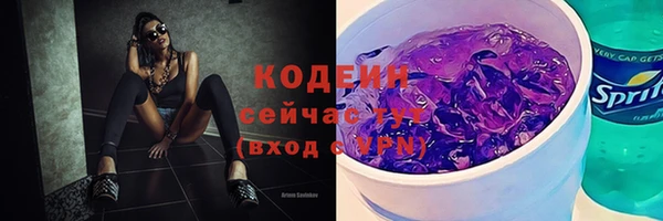 индика Володарск