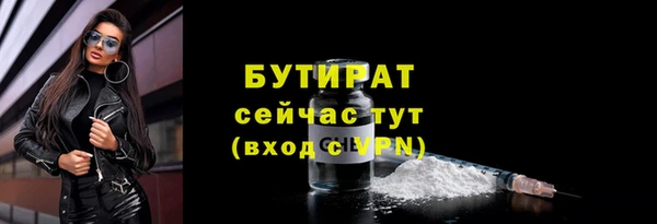 индика Володарск