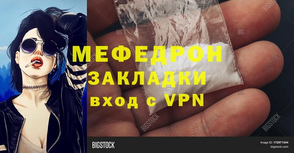 индика Володарск