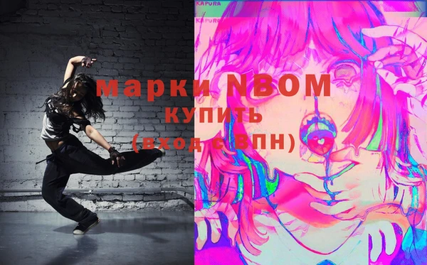 индика Володарск