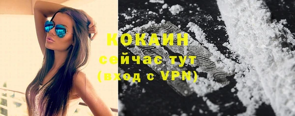 индика Володарск