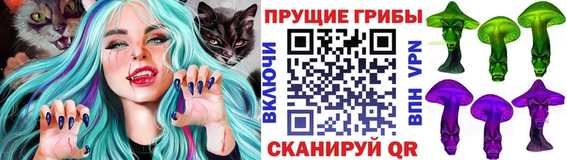Купить закладки  Карабаново  Галлюциногенные грибы Psilocybine cubensis 